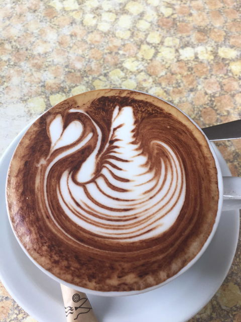 Cafe Del' Art - Palm Beach Accommodation 7