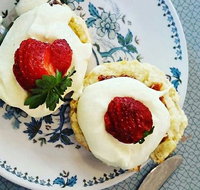 Mervyn Roy's - Palm Beach Accommodation