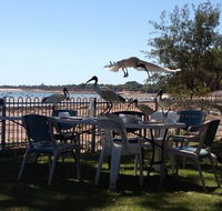 Darwin Ski Club - Little Miss Chef - Palm Beach Accommodation