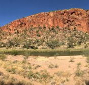 Swiss Chalet - Palm Beach Accommodation