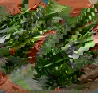 Soph Slice Gourmet Pizza Bar