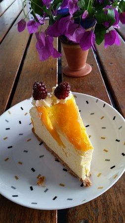 Treesa Green - Palm Beach Accommodation 0