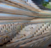 Silver Star Cafe - Palm Beach Accommodation