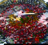 Red Chilli Sichuan Burwood - Palm Beach Accommodation