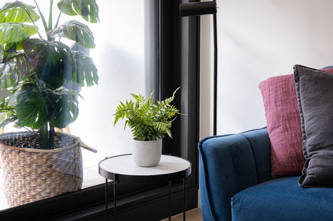 Urban Rest-Home Richmond - Palm Beach Accommodation 13