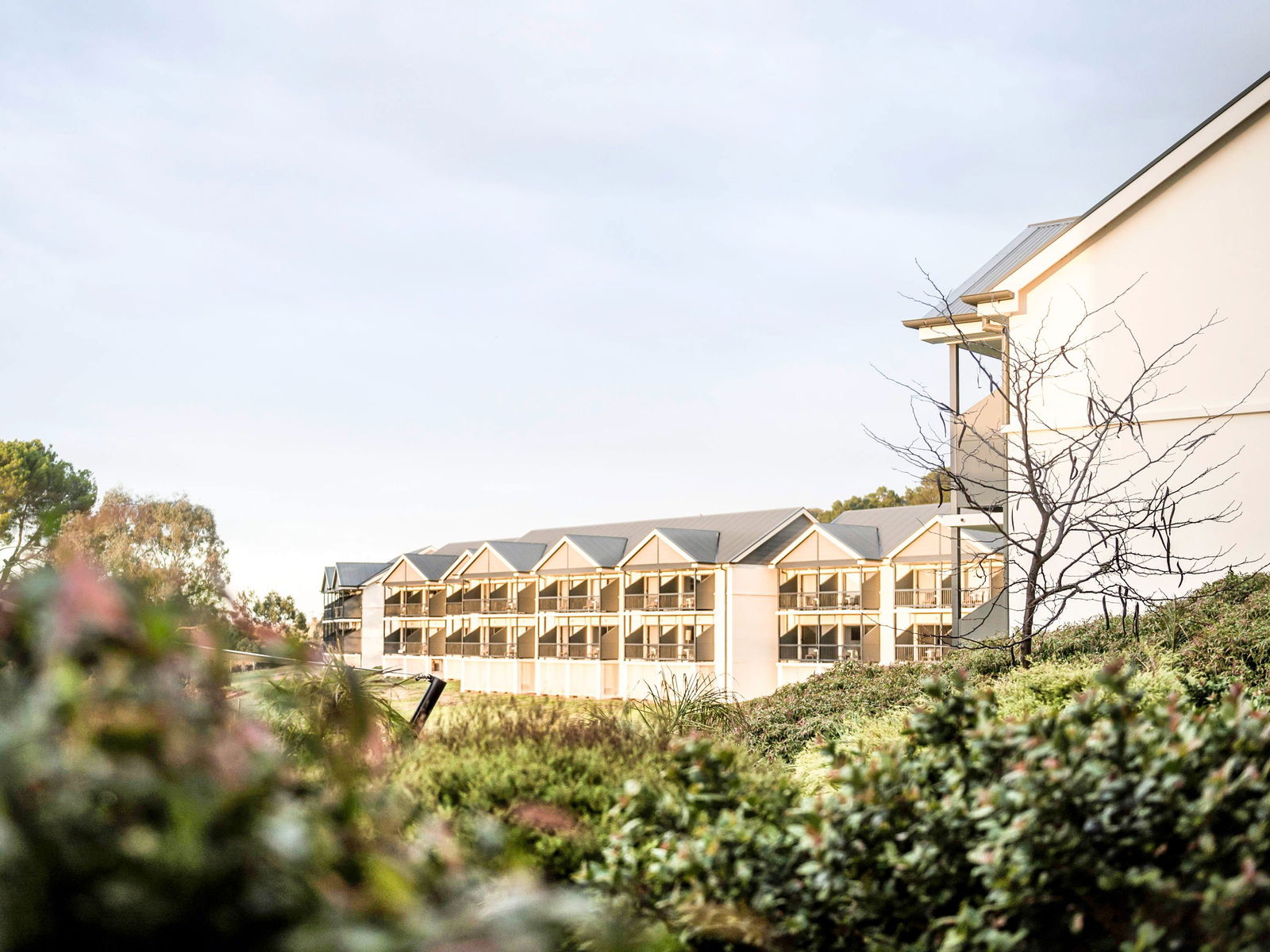 Eden Valley SA Palm Beach Accommodation
