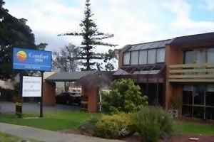 Essendon Motor Inn - Palm Beach Accommodation 0