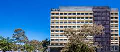 Mantra MacArthur Hotel - Palm Beach Accommodation 0