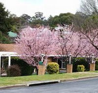 White Lanterns Motel - Palm Beach Accommodation