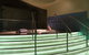 The Sebel Sydney Residence Chatswood - thumb 13