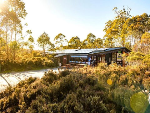 Discovery Parks Cradle Mountain - Palm Beach Accommodation 1