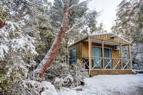 Discovery Parks Cradle Mountain - Palm Beach Accommodation 2