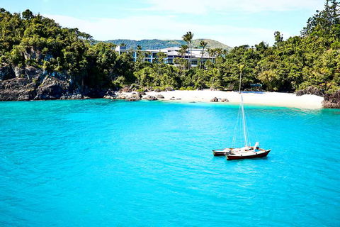 Daydream Island Resort - Palm Beach Accommodation 2
