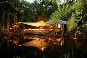 Daintree Eco Lodge & Spa - Palm Beach Accommodation 2