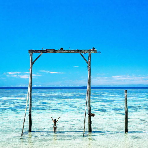 Heron Island Resort - Palm Beach Accommodation 1