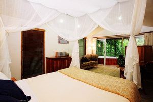 Daintree Eco Lodge & Spa - Palm Beach Accommodation 1