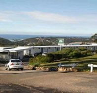 Kingfisher Motel - Palm Beach Accommodation