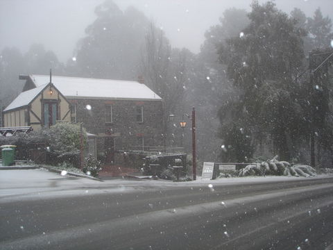 Adeline Bed & Breakfast - Palm Beach Accommodation 1