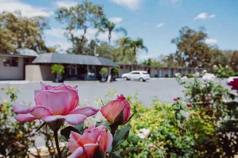 Artesian Spa Motor Inn - Palm Beach Accommodation 2
