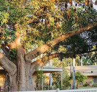 Kimberley Grande Resort  Conf Ctr - Palm Beach Accommodation