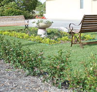 SureStay by BW The Clarence on Melville - Palm Beach Accommodation