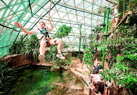 Pullman Reef Hotel Casino - Palm Beach Accommodation 16