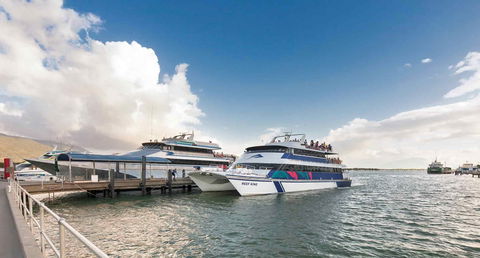 Sebel Cairns Harbour Lights - Palm Beach Accommodation 16