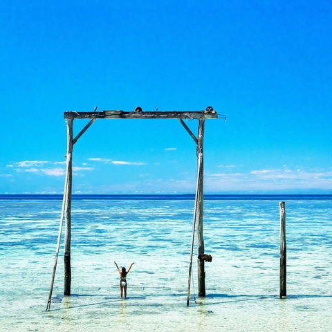Heron Island Resort - Palm Beach Accommodation 1