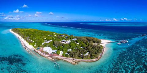 Heron Island Resort - Palm Beach Accommodation 2