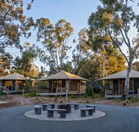 Discovery Parks Barossa Valley - Palm Beach Accommodation