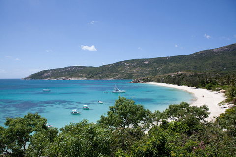Lizard Island Resort - Palm Beach Accommodation 0