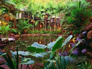Daintree QLD Palm Beach Accommodation