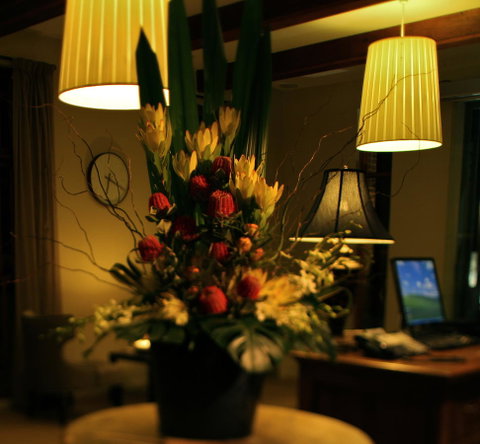 De Russie Boutique Hotel - Palm Beach Accommodation 26