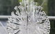 De Russie Boutique Hotel - thumb 38