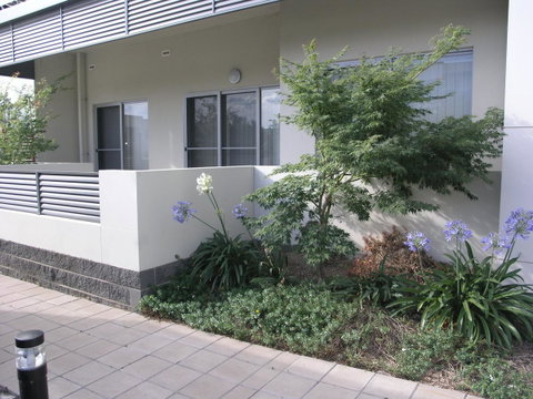 Kesh At Aamira - Palm Beach Accommodation 16