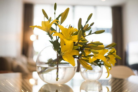 KUI - Manhattan Apartments - Palm Beach Accommodation 0