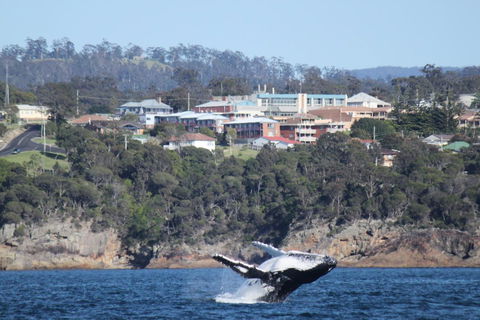 Heritage House Motel & Units - Palm Beach Accommodation 27