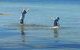 \'Point Break\' Your Waterfront Break At The Point - thumb 4