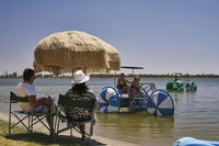 Book Barmera Accommodation Vacations Palm Beach Accommodation Palm Beach Accommodation