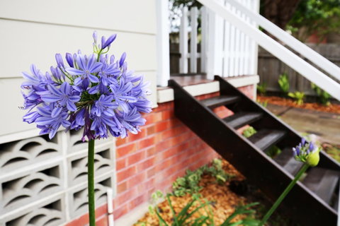 Hudson Bay @ Basin View-Pet Friendly-15 Mins To Hyams Beach - Palm Beach Accommodation 38