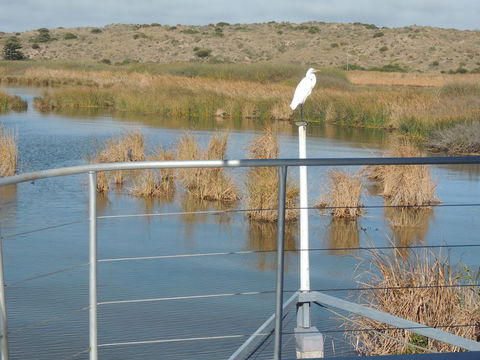 PS Federal Retreat Paddle Steamer Goolwa - Palm Beach Accommodation 11
