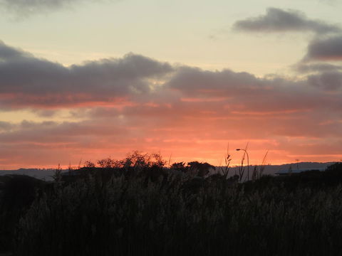 PS Federal Retreat Paddle Steamer Goolwa - Palm Beach Accommodation 13