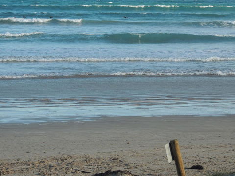 PS Federal Retreat Paddle Steamer Goolwa - Palm Beach Accommodation 14