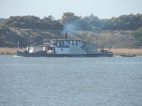 PS Federal Retreat Paddle Steamer Goolwa - Palm Beach Accommodation 10