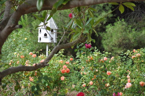 The Lyndoch Motel - Palm Beach Accommodation 2