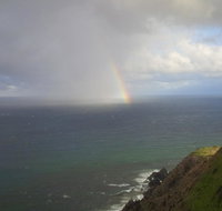 Byron Bay Guest - Palm Beach Accommodation