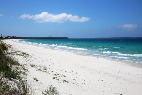 Wildwood I Pet Friendly I 5 Mins To Beach - Palm Beach Accommodation 14