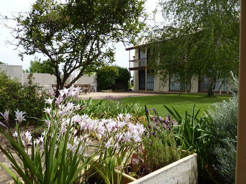 Coonawarra Motor Lodge - Palm Beach Accommodation 0