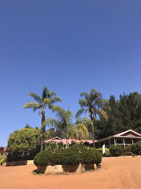 Forest Lodge Resort - Palm Beach Accommodation 0