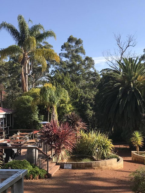 Forest Lodge Resort - Palm Beach Accommodation 8
